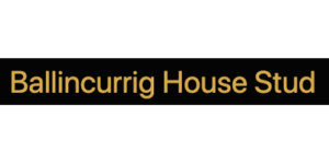 Ballinacurrig House Stud  