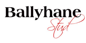 Ballyhane Stud