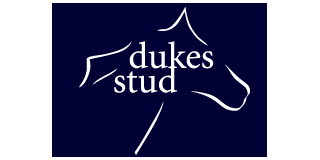 DukesStud320x160mini